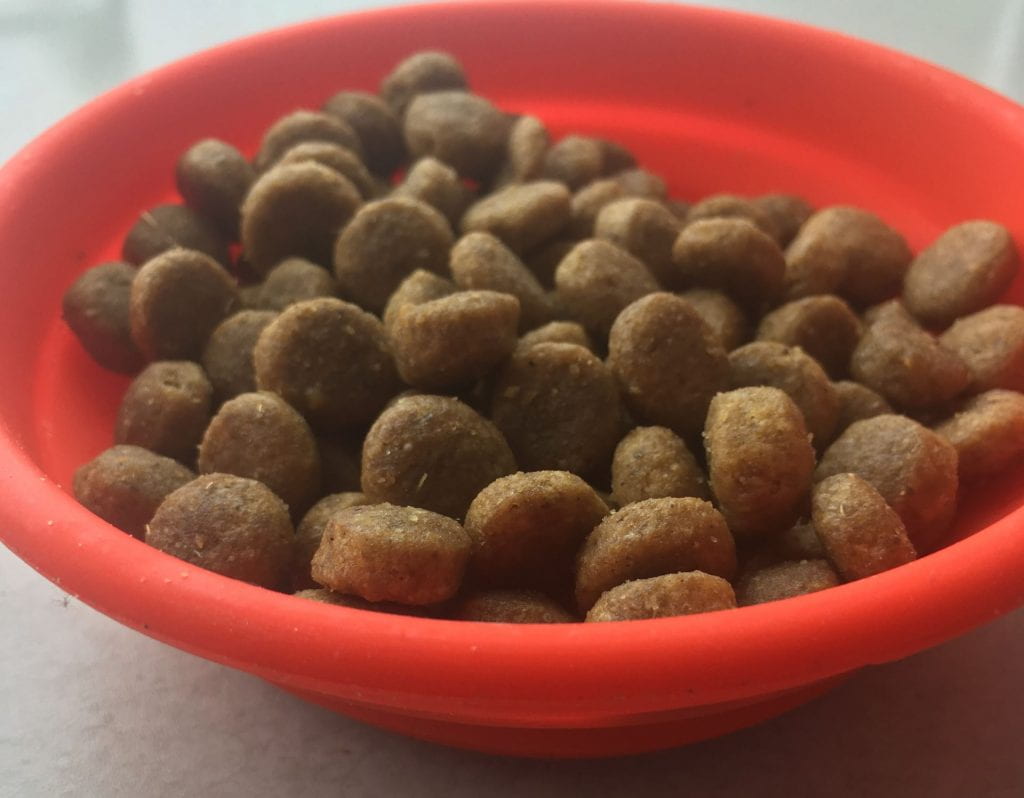 Pet kibble in a red bowl