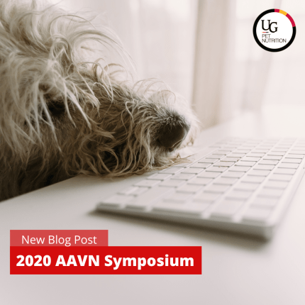 2020 AAVN Symposium