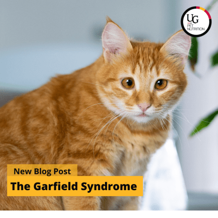 The Garfield Syndrome