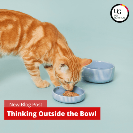 Thinking Outside the Bowl