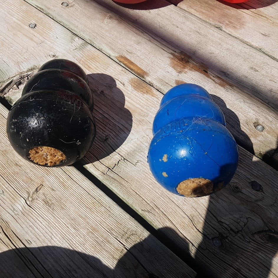 Two Kong fillable chew toys with food inside of them 