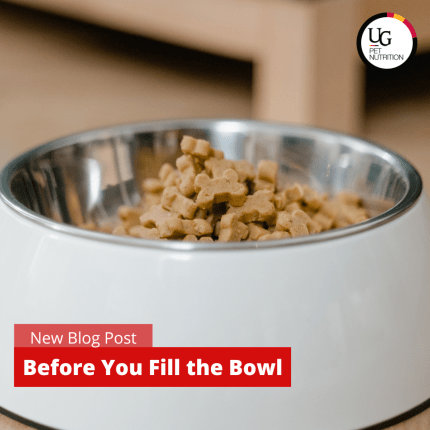 Before you fill the bowl…