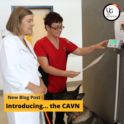 Introducing the CAVN!