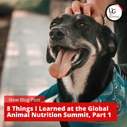 8 Things I Learned From The Global Animal Nutrition Summit 2020