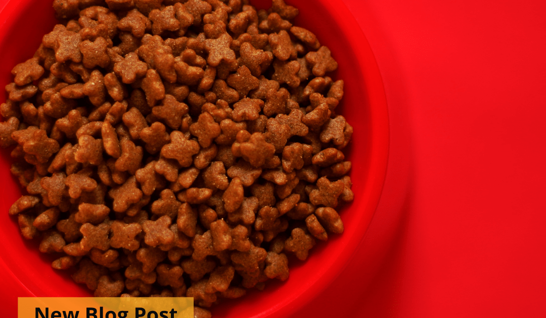 A red bowl of dog kibble on a red table.