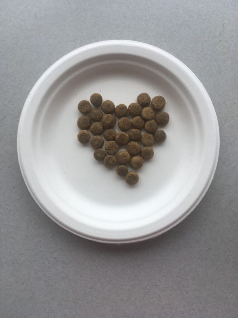 A bowl of kibble in the shape of a heart on a white paper plate. 