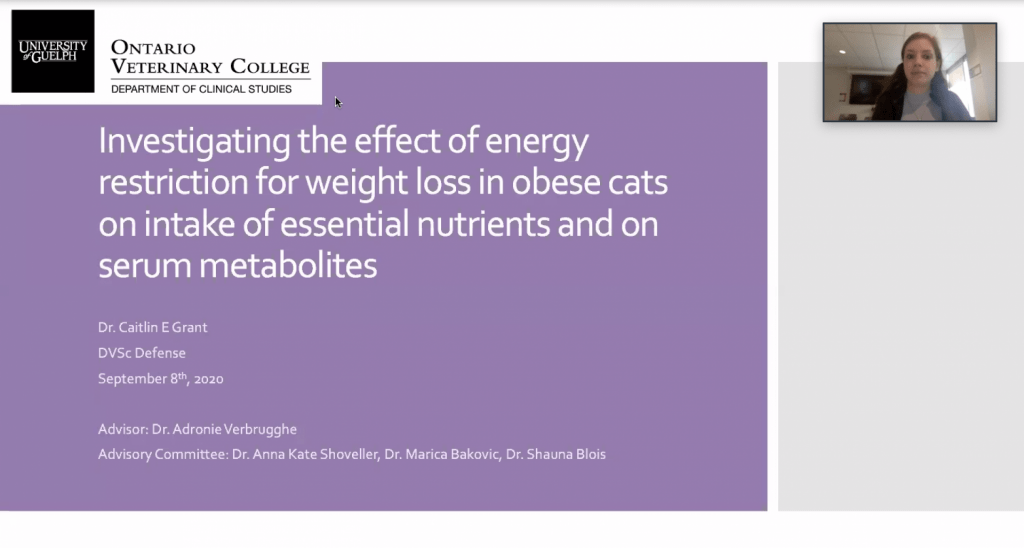 Caitlin presenting her thesis, titled "Investigating the effect of energy restriction for weight loss in obese cats on intake of essential nutrients and on serum metabolites"