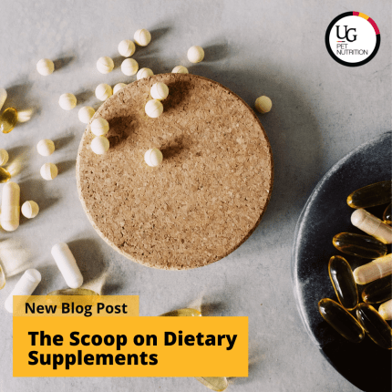 What’s the Scoop on Dietary Supplements?