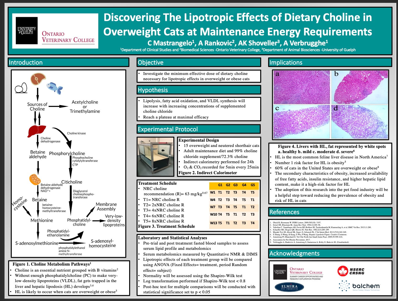Christian's research poster, titled, "Discovering the lipotropic effects of dietary choline in overweight cats at maintenance energy requirements. 