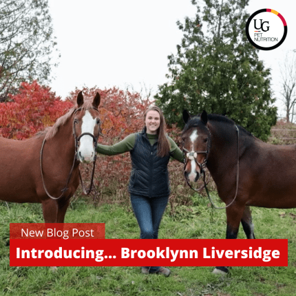 Introducing…Brooklynn Liversidge!