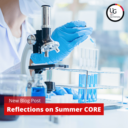 Reflections on the Summer CORE Program