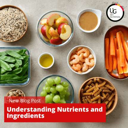 Understanding Nutrients and Ingredients