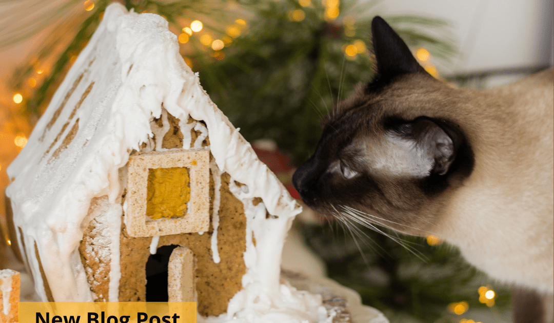 A cat investigates a gingerbread house.