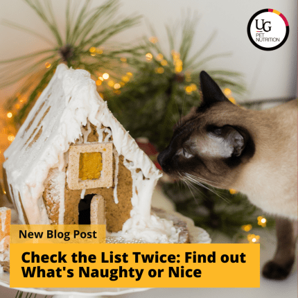 Check the List Twice – Find Out What’s Naughty or Nice
