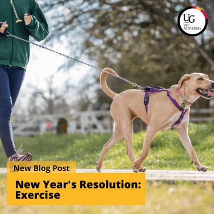 The Benefits of Exercise as a New Year’s Resolution for Pets and People