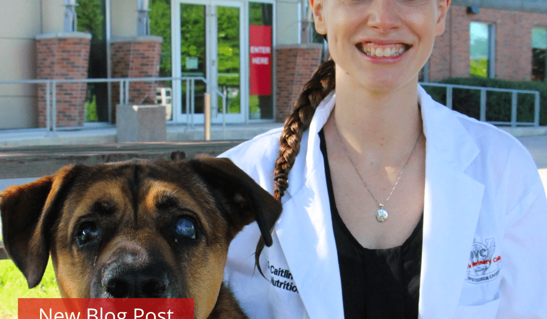 Caitlin with a dog in front of the OVC Companion Animal Hospital.