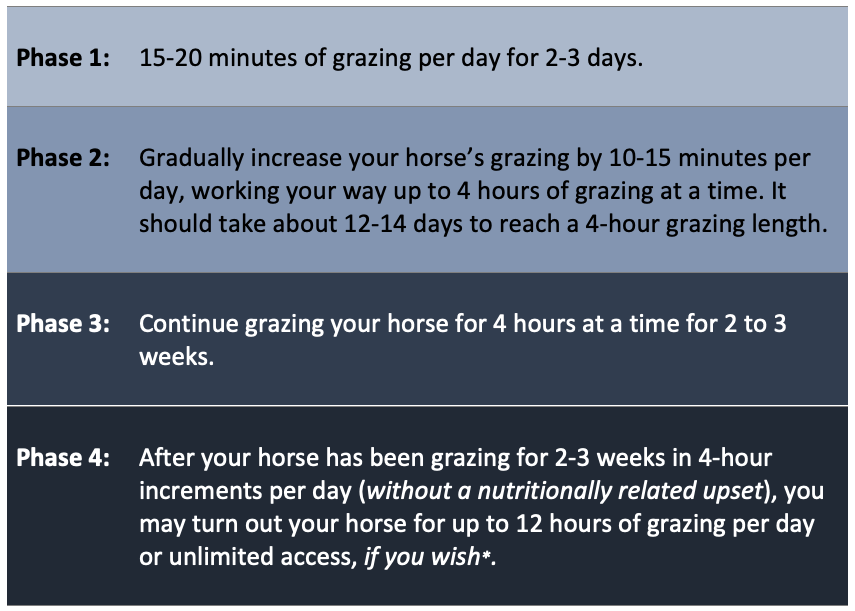 The image explains grazing in phases:
Phase 1: 15-20 minutes of grazing per day for 2-3 days
Phase 2: Gradually increase your horse's grazing by 10-15 minutes per day, working your way up to 4 hours of grazing at a time. It should take about 12-14 days to reach a 4-hour grazing length. 
Phase 3: Continue grazing your horse for 4 hours at a time for 2 to 3 weeks.
Phase 4: After your horse has been grazing for 2-3 weeks in 4-hour increments per day (without a nutritionally related upset), you may turn out your horse for up to 12 hours of grazing per day or unlimited access, if you wish*.