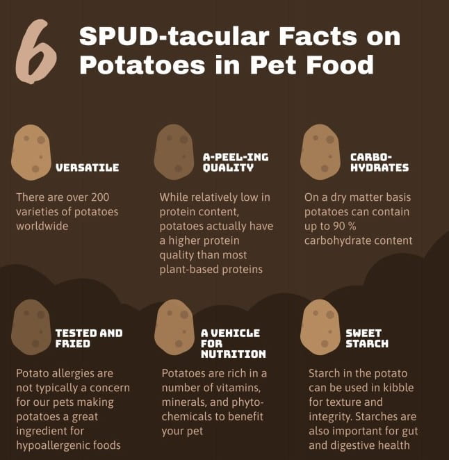Infographic saying: 
"6 SPUD-tacular Facts on Potatoes in Pet Food. 1. Versatile: There are over 200 varieties of potatoes worldwide. 2. A-peel-ing quality. While relatively low in protein content, potatoes actually have a higher protein quality than most plant based proteins. 3. Carbo-hydrates. On a dry matter basis potatoes can contain up to 90% carbohydrate content. 
4. Tested and fried. Potato allergies are not typically a concern for our pets making potatoes a great ingredient for hypoallergenic foods. 5. A vehicle for nutrition. Potatoes are rich in a number of vitamins, minerals and phyto-chemicals to benefit your pet. 6. Sweet Starch. Starch in the potato can be used in kibble for texture and integrity. Starches are also important for gut and digestive health.