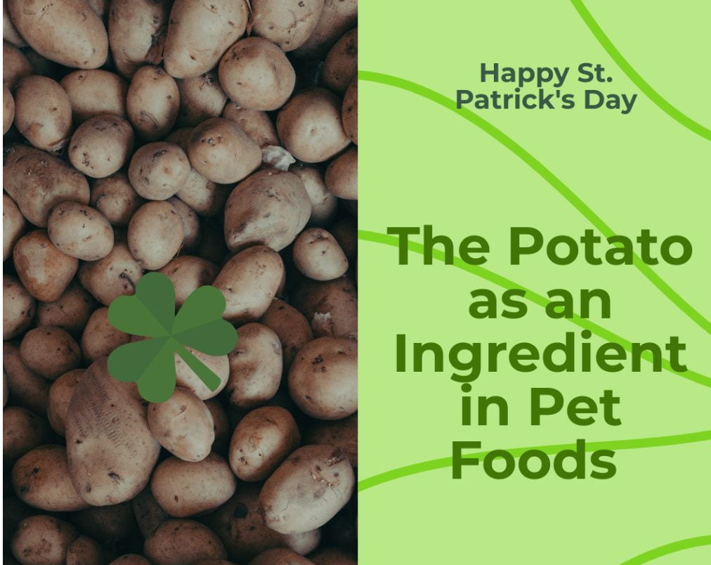 Potatoes with a green clover. Text that reads "Happy St. Patrick's Day, The Potato as an ingredient in Pet Foods".