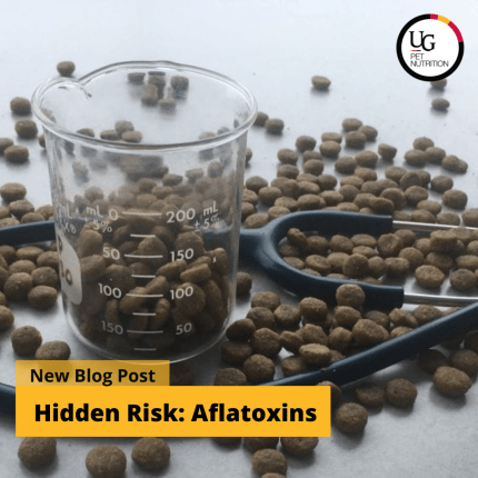 Hidden Risk: Aflatoxins in Pet Food