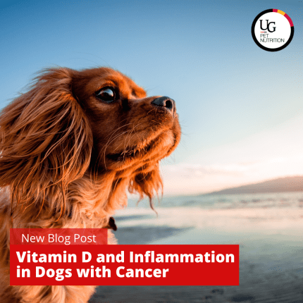 Association Demonstrated Between Vitamin D Concentrations and Inflammation in Dogs with Cancer