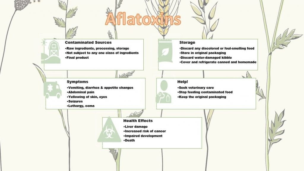 An infographic containing:
Aflatoxins
Contaminated Sources: 
Raw ingredients, processing, storage. Not subject to any one class of ingredients. Final Product
Storage:
Discard any discolored or foul-smelling food. Store in original packaging, Discard water-damage kibble. Cover and refrigerate canned and homemade.
Symptoms:
Vomiting, diarrhea & appetite changes. Abdominal pain. Yellowing of skin, eyes. Seizures. Lethargy, coma. 
Help: 
Seek veterinary care. Stop feeding contaminated food. Keep the original packaging. 
Health Effects: 
Liver damage. Increased risk of cancer. Impaired development. Death. 