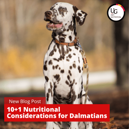 10 + 1 Nutritional Considerations for Dalmatians