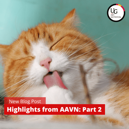 Highlights from AAVN: Part 2