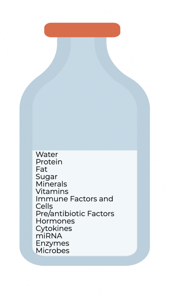 A cartoon bottle of milk. Inside is a list of factors including: water, protein, fat, sugar, minerals, vitamins, immune factors and cells, pre/antibiotic factors, hormones, cytokines, miRNA, enzymes and microbes. 