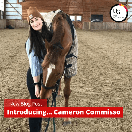 Introducing…Cameron Commisso