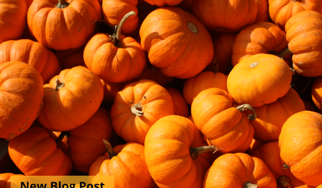 Pile of pumpkins