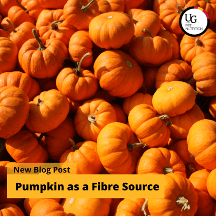 Pumpkin as a Fibre Source