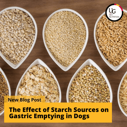 The Effect of Starch Sources on Gastric Emptying in Dogs