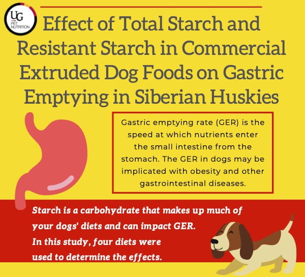 Effect of total starch and resistant starch in commercial extruded dog foods on gastric emptying in siberian huskies. Gastric emptying rate (GER) is the speed at which nutrient enter the small intestine from the stomach. The GER in dogs may be implicated with obesity and other gastrointestinal diseases. Starch is a carbohydrate that makes up much of your dog's diets and can impact GER. In this study, four diets were used to determine the effects. 