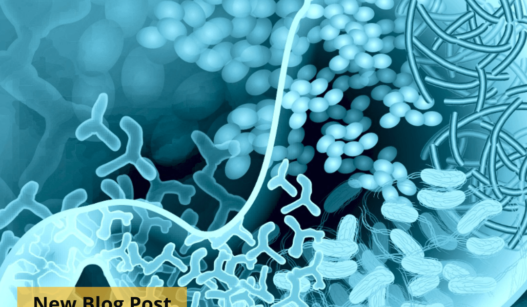A blue graphic depicting microorganisms and prebiotics in the stomach.