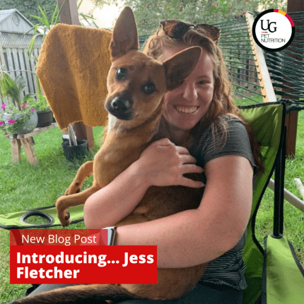 Introducing… Jessica Fletcher!