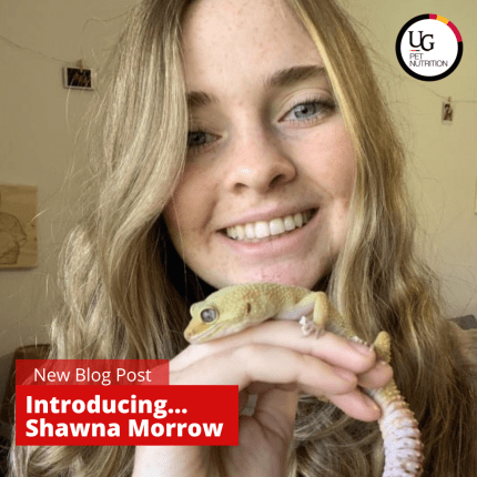 Introducing… Shawna Morrow!