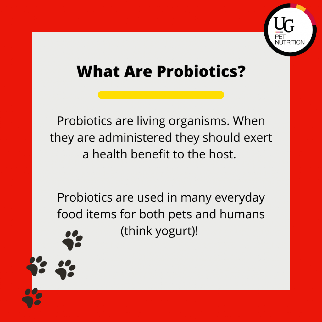 What are probiotics? Probiotics are living organisms. When they are administered they should exert a health benefit to the host. Probiotics are used in many everyday food items for both pets and humans (think yogurt)! 