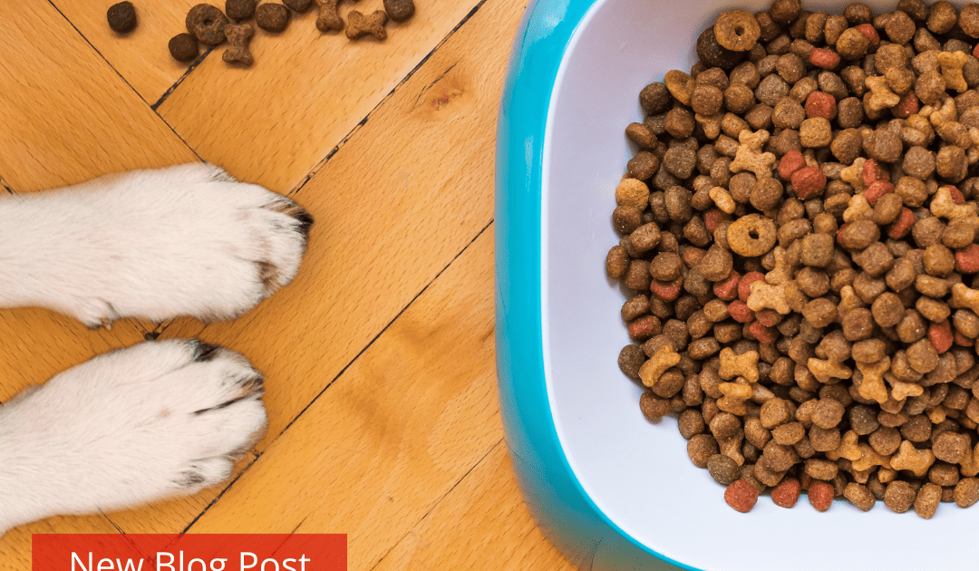 Two dog paws in front of a blue bowl full of dog kibble.