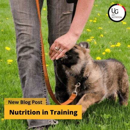 Nutrition in Training