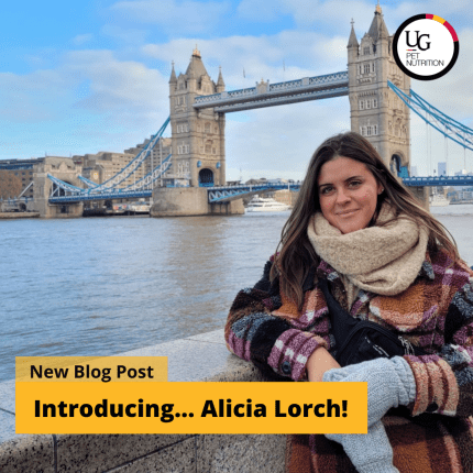Introducing… Alicia Lorch!