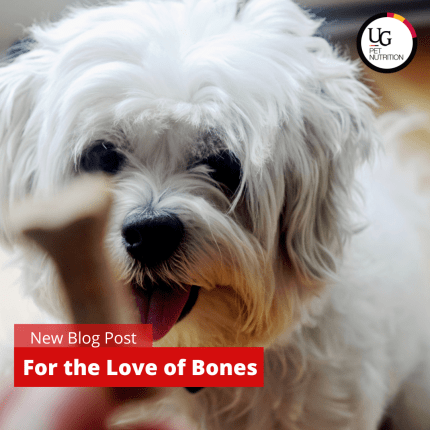 For the Love of Bones
