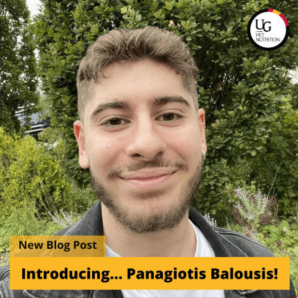 Introducing… Panagiotis Balousis! 