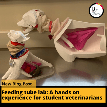 Feeding tube lab: A hands on experience for student veterinarians