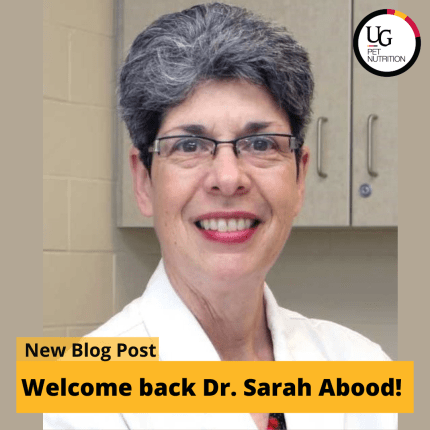 Welcome back, Dr. Sarah Abood!